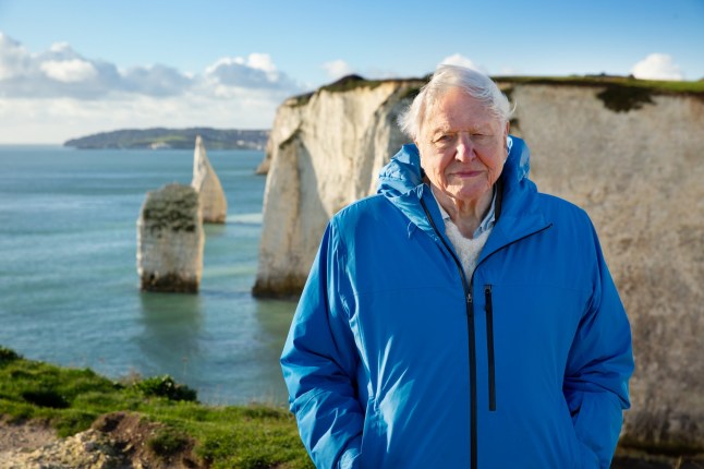 Undated Handout Photo from Ocean with David Attenborough. Pictured: David Attenborough. See PA Feature SHOWBIZ TV Attenborough. WARNING: This picture must only be used to accompany PA Feature SHOWBIZ TV Attenborough. PA Photo. Picture credit should read: National Geographic/Silverback Films and Open Planet Studios/Keith Scholey. NOTE TO EDITORS: This picture must only be used to accompany PA Feature SHOWBIZ TV Attenborough.