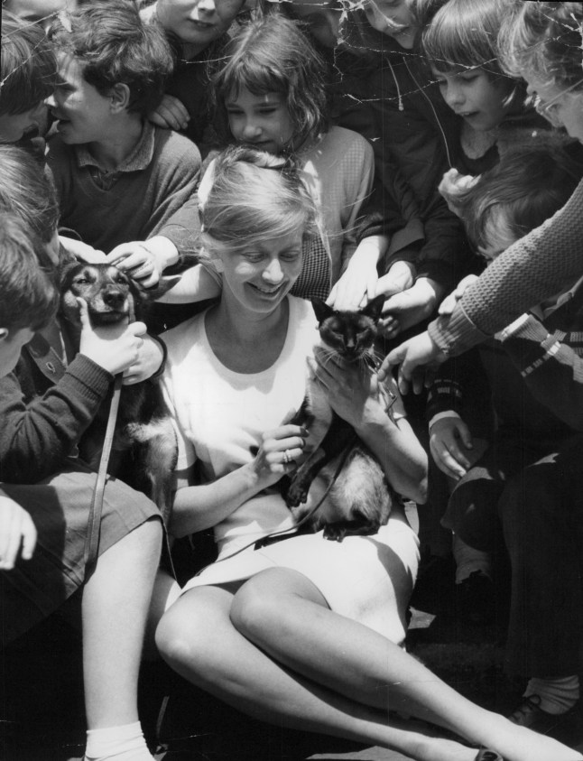 Biddy Baxter, editor of BBC TV children?s magazine show Blue Peter, at North Lambeth Public Library, with the show's pets, 'Petra' the dog, and 'Jason' the Siamese cat. (Joan Maureen "Biddy" Baxter). box 710 417101613 A.jpg . REXSCANPIX.