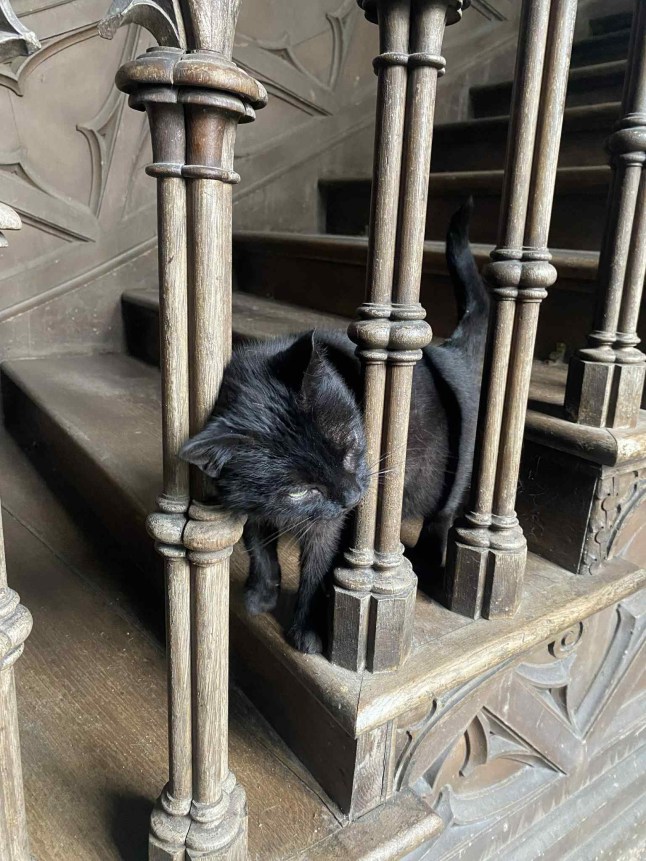 The tragic story of the little girl who 'haunts' the castle where Wednesday season 2 was filmed